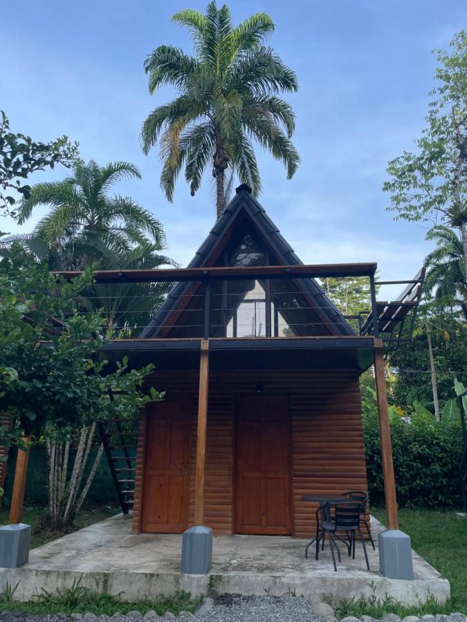 Bungalows Sloth Manzanillo  Oda fotoğraf